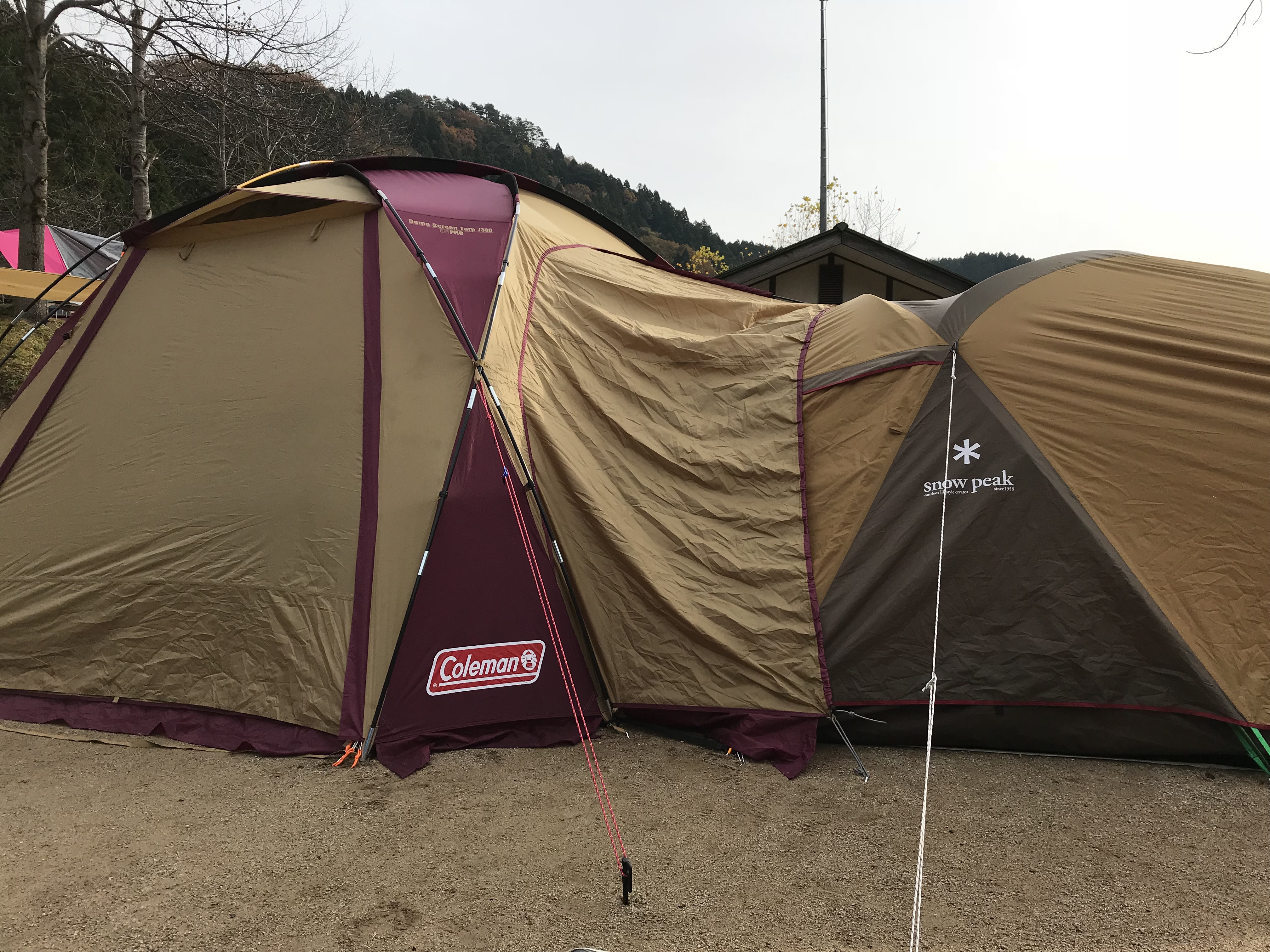 秋キャンプ 湯ノ原温泉オートキャンプ場 コールマン ドームスクリーン